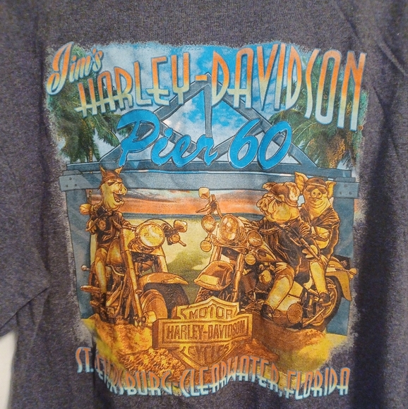 Harley-Davidson Other - Harley-Davidson Graphic T-Shirt